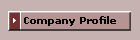 Company Profile