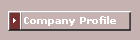 Company Profile