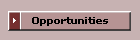 Opportunities