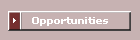 Opportunities