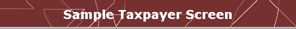 Sample Taxpayer Screen